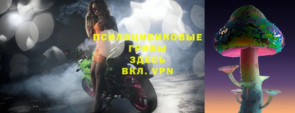 спайс Новозыбков