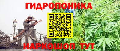 гашик Бийск