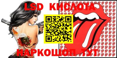 гашик Бийск