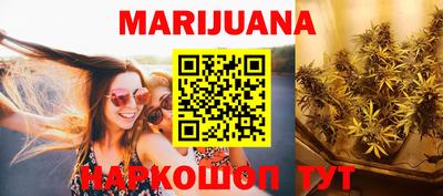 гашик Бийск