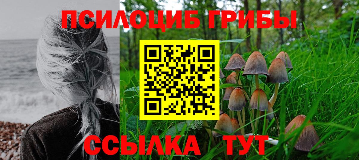 Галлюциногенные грибы GOLDEN TEACHER Сертолово