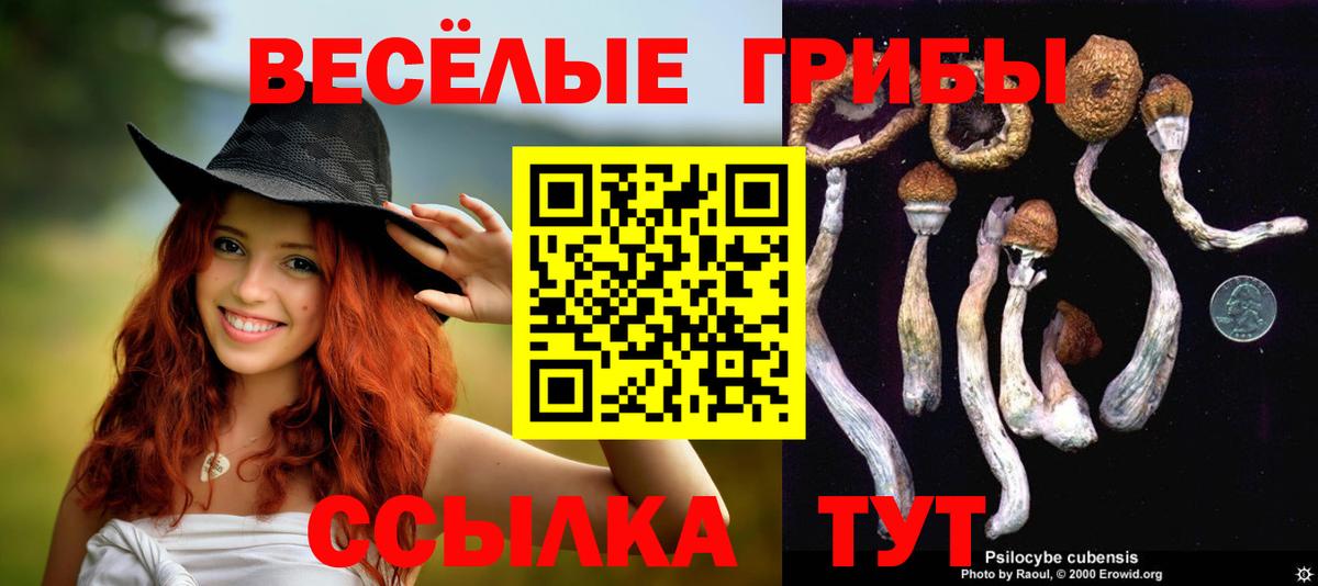 Галлюциногенные грибы мицелий  Сертолово 