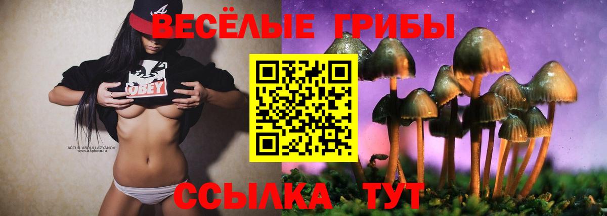 Галлюциногенные грибы Cubensis Сертолово