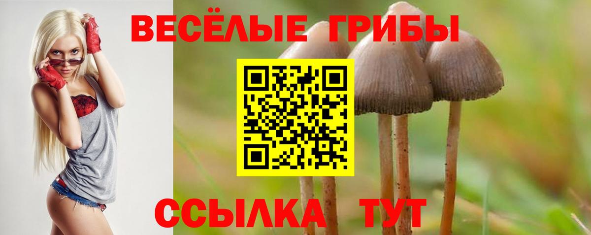 Сертолово  Галлюциногенные грибы Magic Shrooms  Вход с VPN 