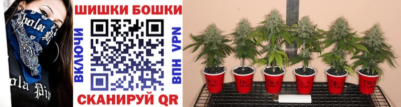 KRAKEN ссылки  Сертолово  МАРИХУАНА White Widow  где купить  